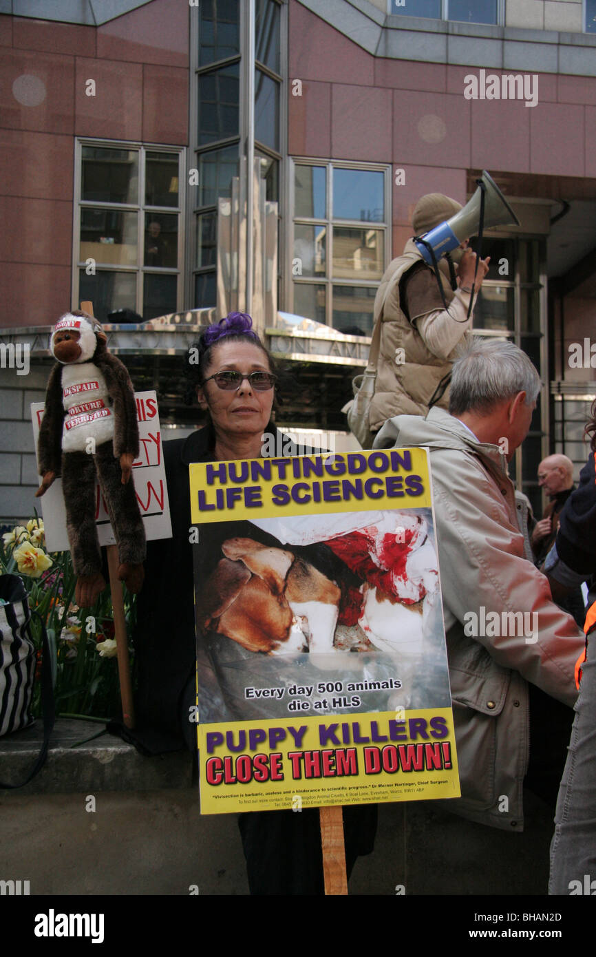 Tier Rechte Aktivist, eskortiert von der Polizei Protest in der Londoner City in einer Demonstration endet in Huntigdon Life Sciences Stockfoto