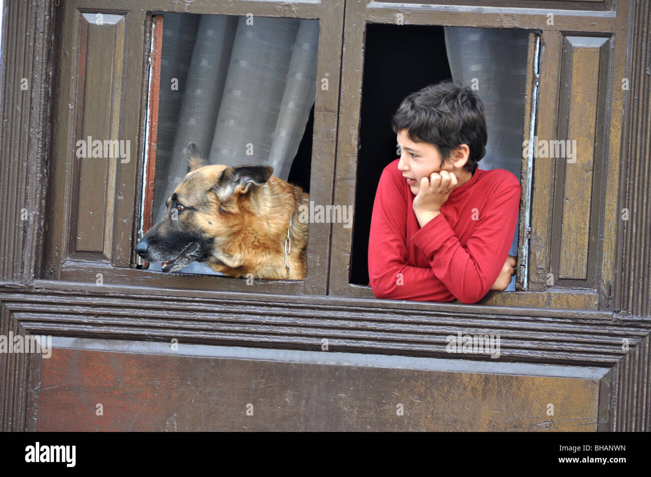 Ein Junge & seinen Hund beobachten Karneval Parade Probe Santa Cruz Teneriffa Spanien Stockfoto