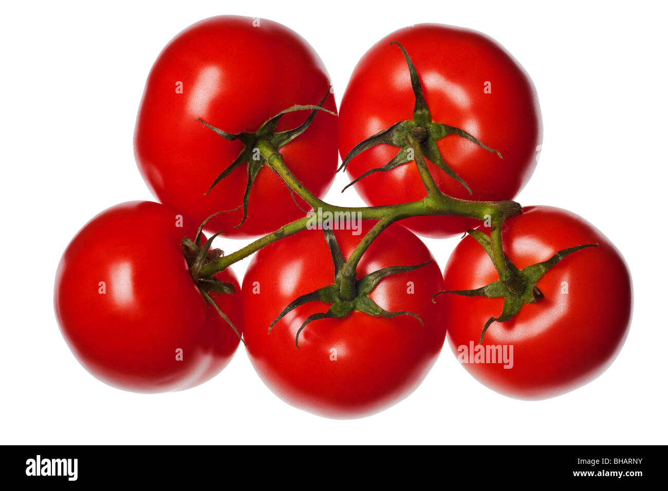Tomaten auf einem reinen weißen Hintergrund isoliert Stockfoto