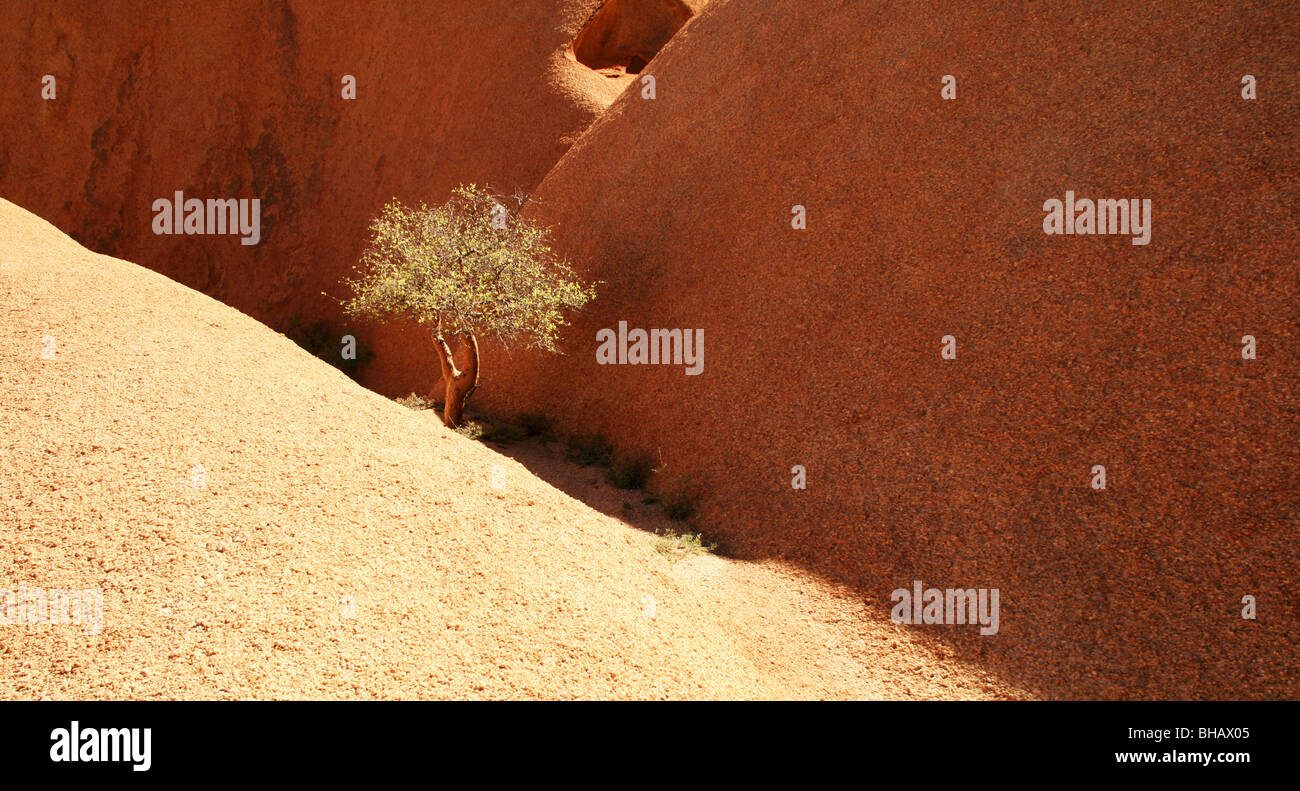 Spitzkoppe, Spitzkop, Groot Spitzkop oder das Matterhorn von Namibia ist eine Sammlung von Granit Berge und Felsen in der Wüste Stockfoto