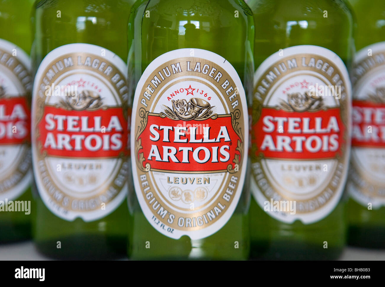 Belgische Stella Artois Bier in Flaschen. Stockfoto