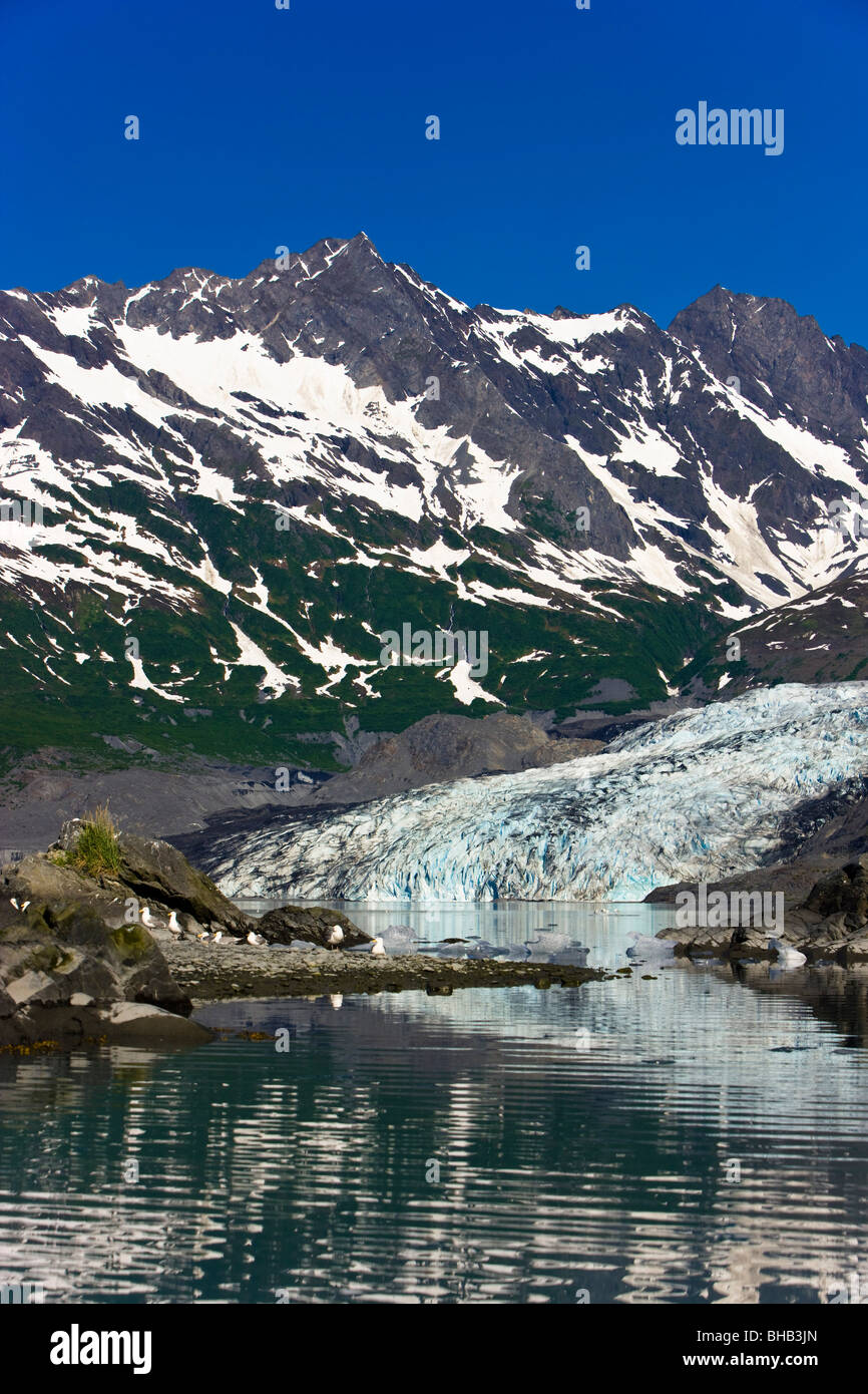 Shoup Gletscher spiegelt sich in den Gewässern der Shoup Bay, Shoup Bay State Marine Park, Prinz-William-Sund, Yunan Alaska, USA. Stockfoto