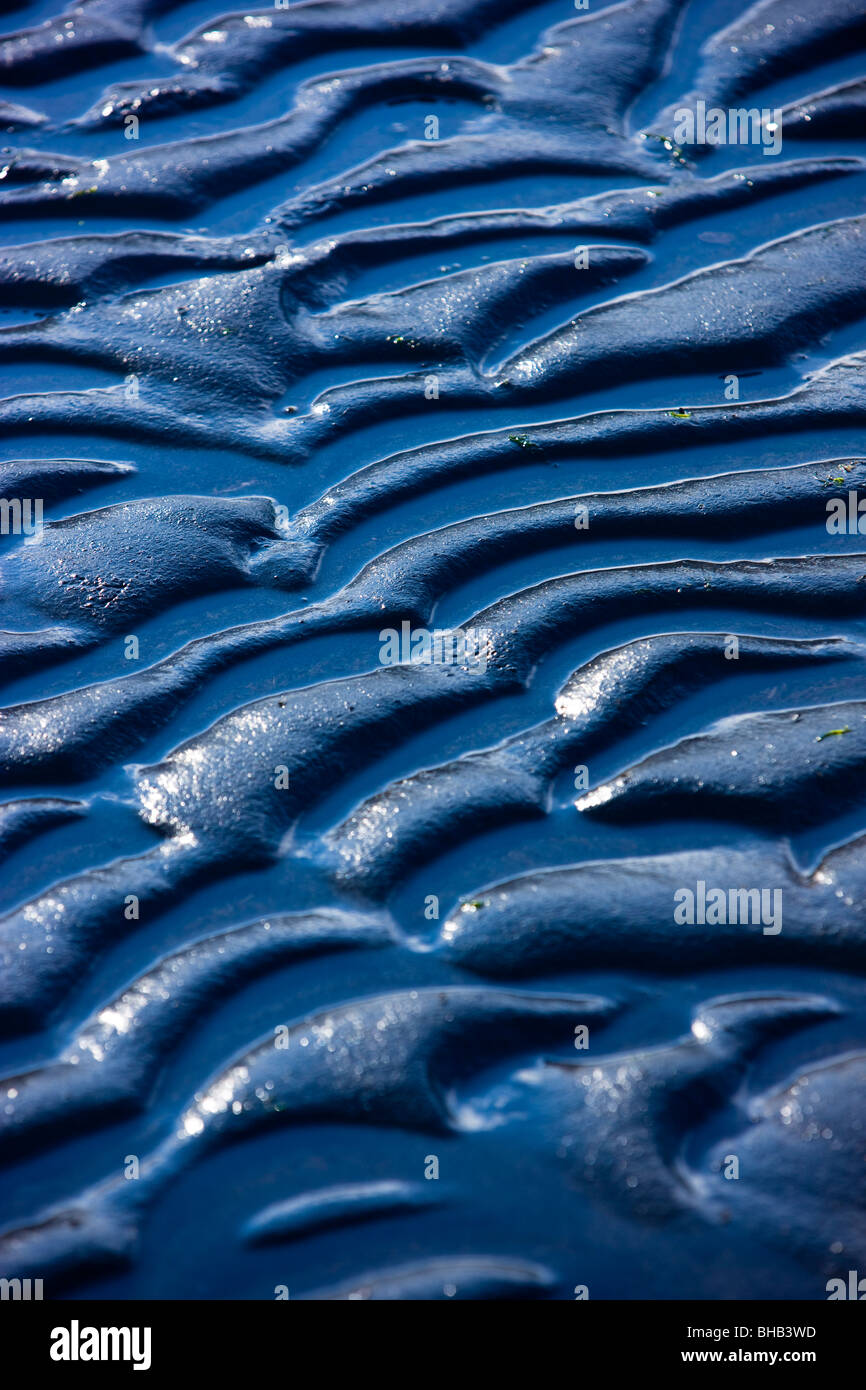 Detail der Wellen in den Schlamm am Womens Bay, Kodiak Island Südwest-Alaska, Herbst Stockfoto