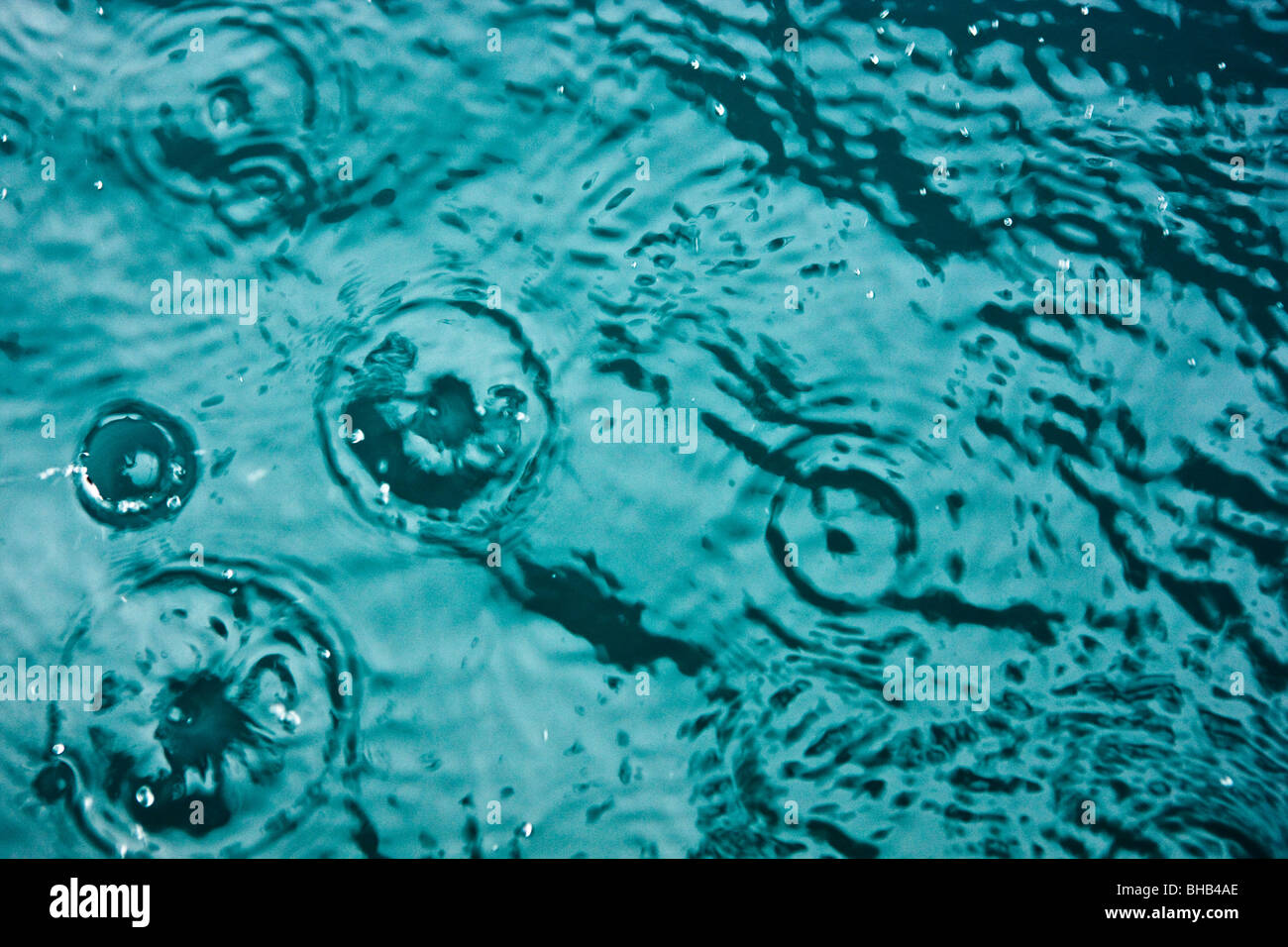 Detail des Niederschlags auf Meerwasser, Shoup Bay State Marine Park, Prinz-William-Sund, Yunan Alaska, Sommer Stockfoto