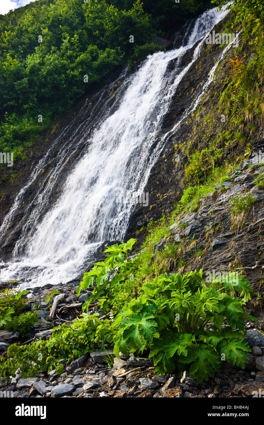 Wasserfall in Shoup Bay State Marine Park, Prinz-William-Sund, Yunan Alaska, Sommer Stockfoto