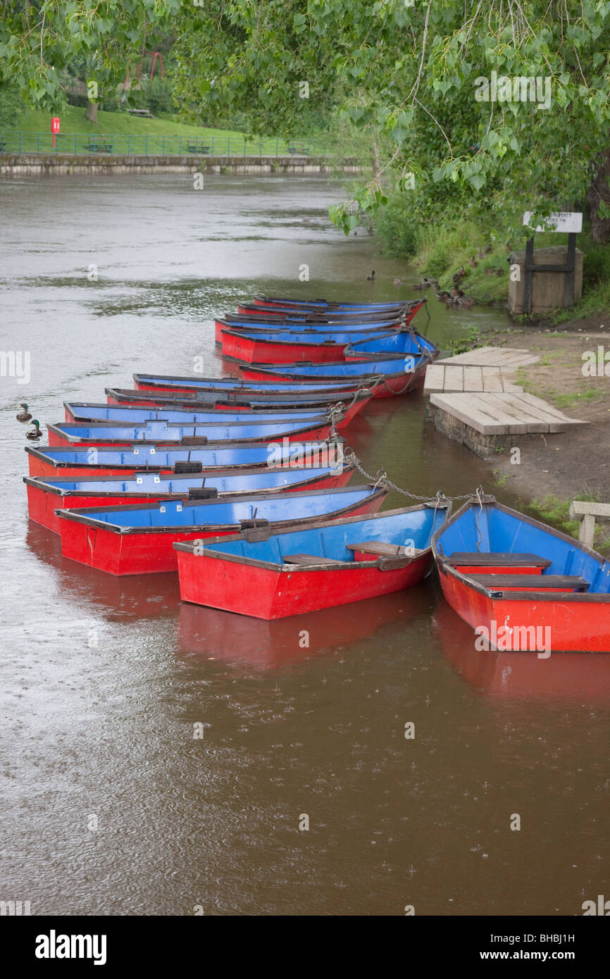 Ruderboote am Fluß Wansbeck, Morpeth, Northumberland, England Stockfoto