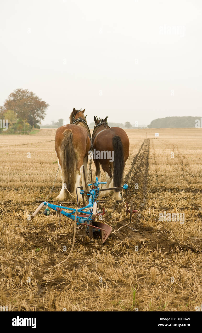 Herbstmorgen Stockfoto