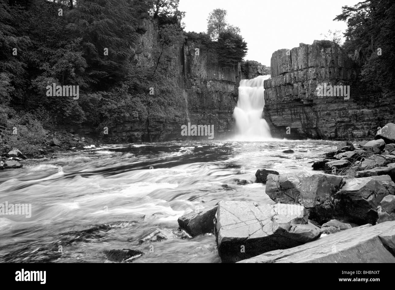 Middleton-in-Teesdale, County Durham, England. Hohe Kraft, Englands größte Wasserfall, auf dem River Tees. Stockfoto