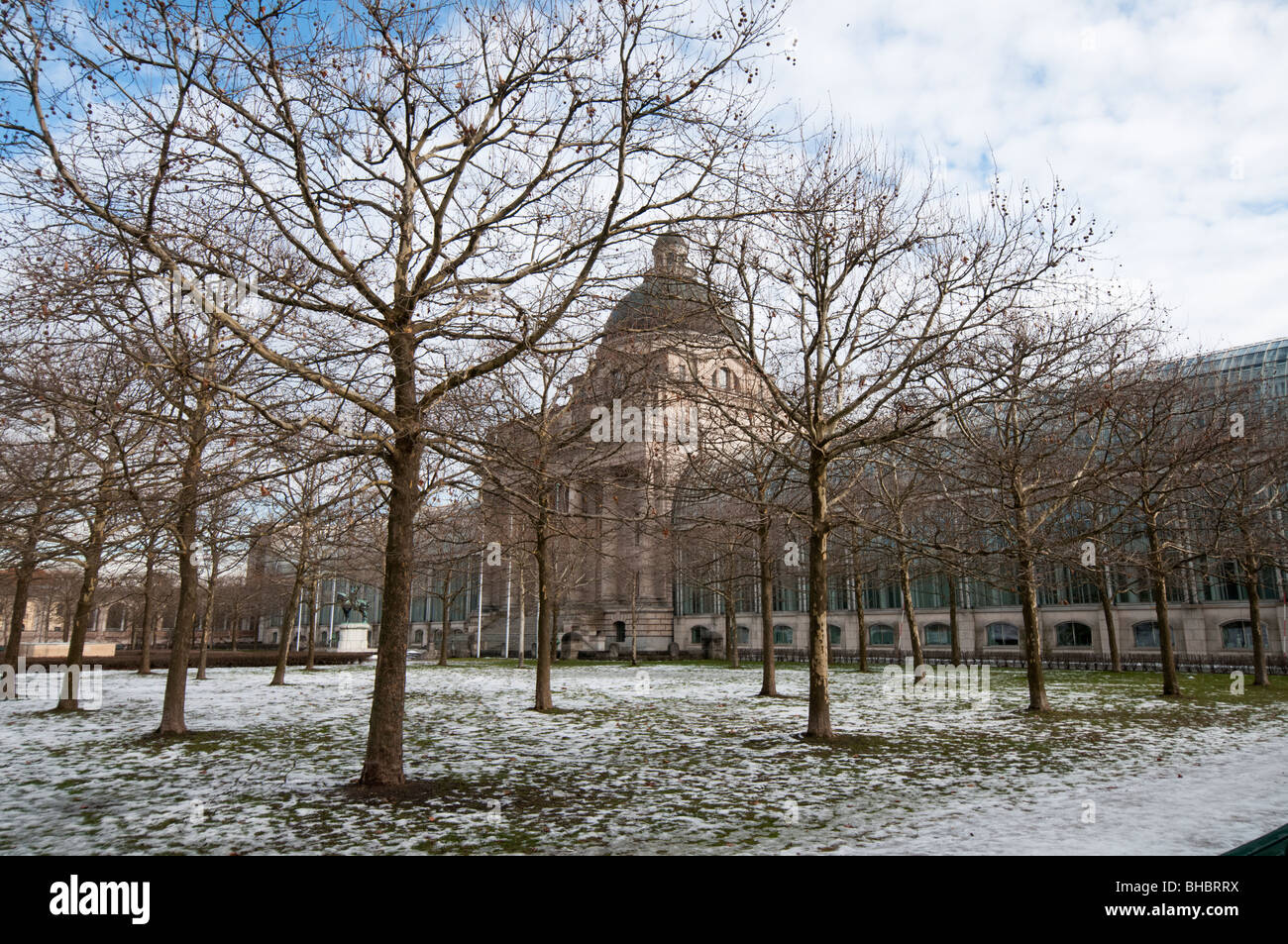 Staatskanzlei hinter blattlosen Bäume Stockfoto