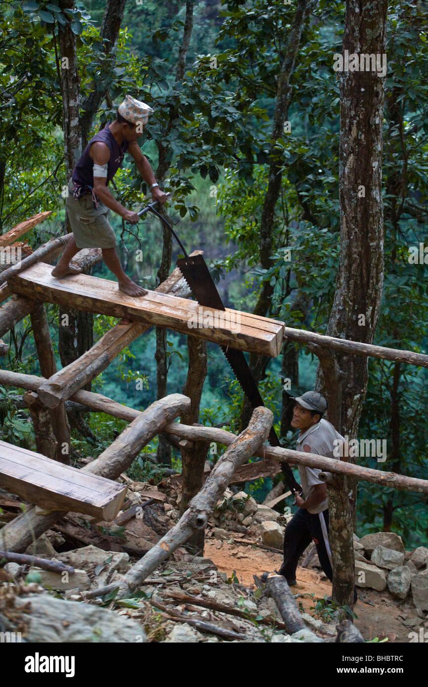 Nepalesische Männer verwenden eine große CROSS CUT sah Holzplatten von hand - machen um MANASLU Trekking, NEPAL Stockfoto
