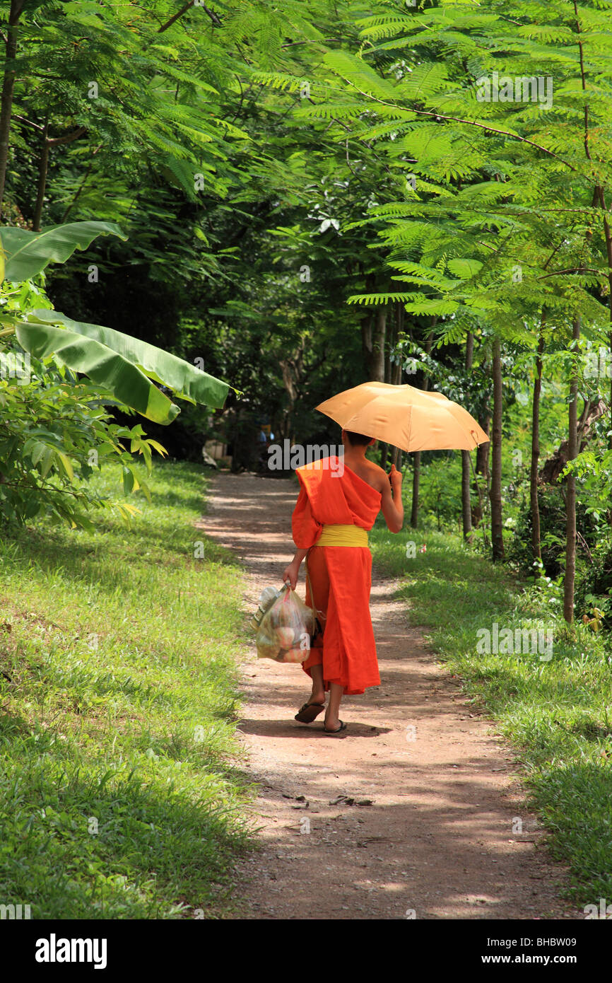 Junger Mönch in Luang Prabang, Laos Stockfoto
