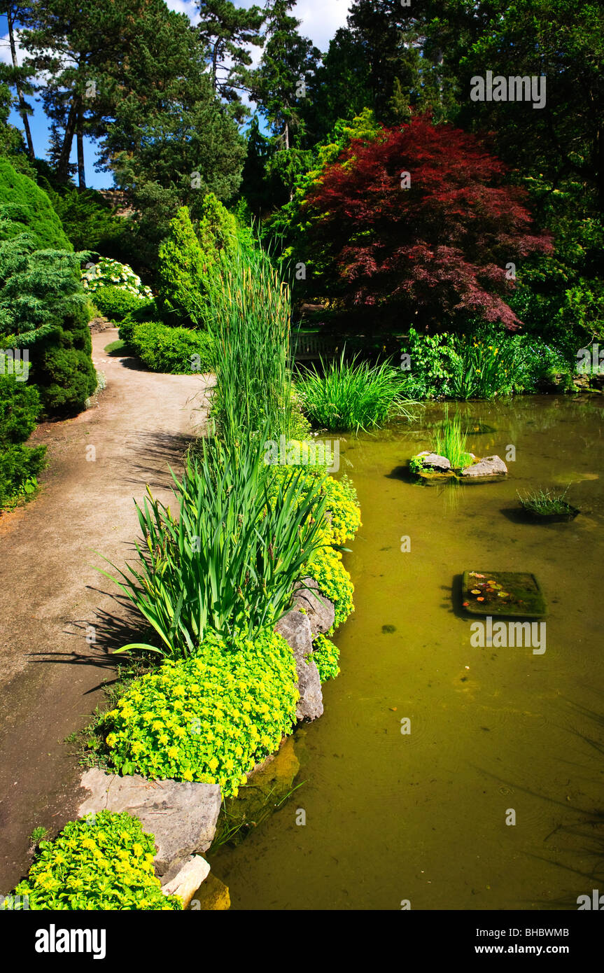 Angelegter Gartenweg mit Pflanzen und Teich Stockfoto