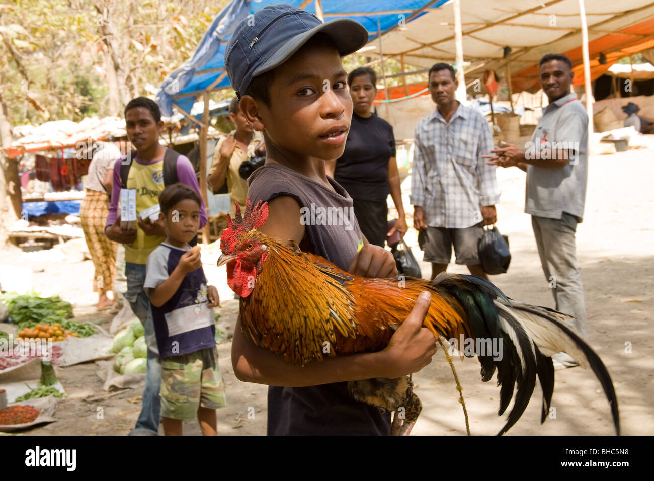 Junge trägt seine bunten Hahn mit beeindruckenden Gefieder in Dorfmarkt Osttimor beobachtet von Schaulustigen zu verkaufen Stockfoto