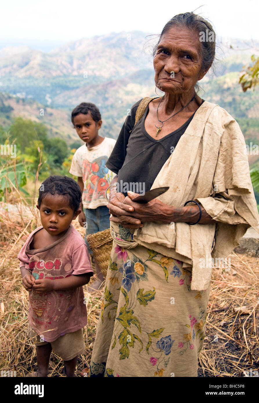 Großmutter Maria arbeitet in den Bereichen über Dili und kämpft mit bloßen Händen und scharfes Messer für Überleben sammeln Esswaren Stockfoto