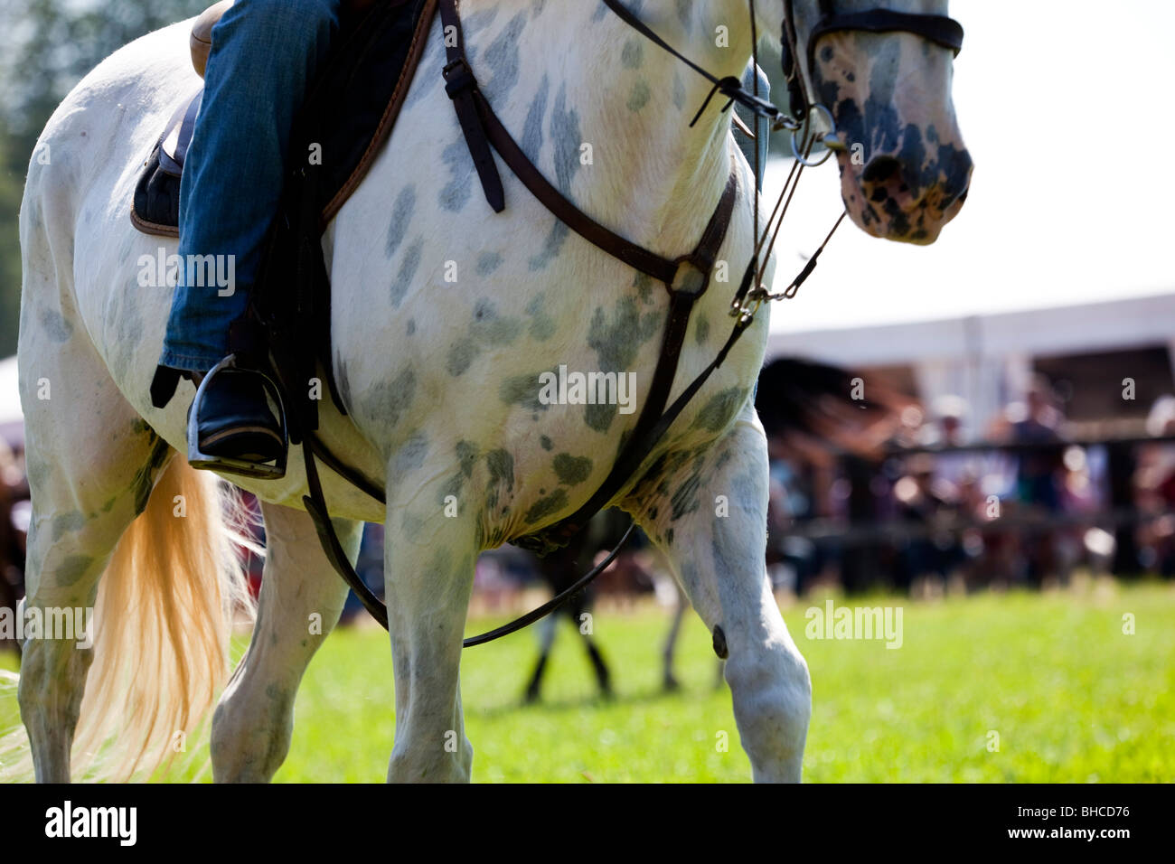 Reiter Stockfoto