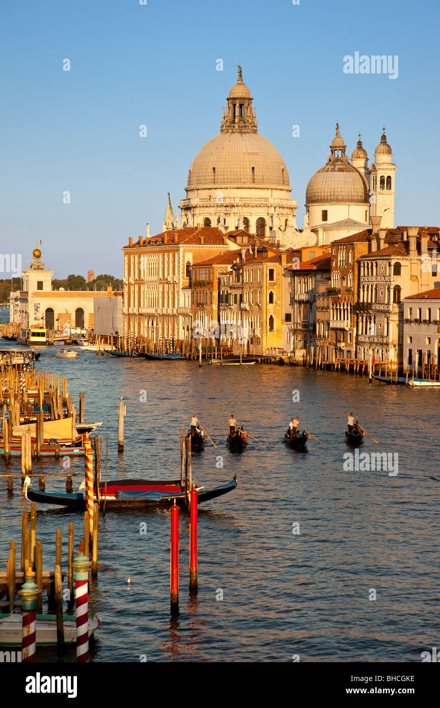 Ein Quartett von Gondeln machen ihren Weg nach unten den Canal grande mit Santa Maria Della Salute im Hintergrund, Venedig Veneto Italien Stockfoto