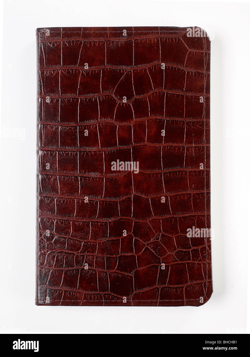 Braun Leder gebundenen Krokodil strukturierte Buch Journal Tagebuch ledger Stockfoto