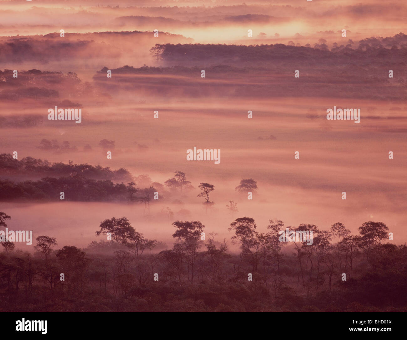 Morgennebel über Landschaft, Kushiro - shitsugen, Hokkaido, Japan Stockfoto