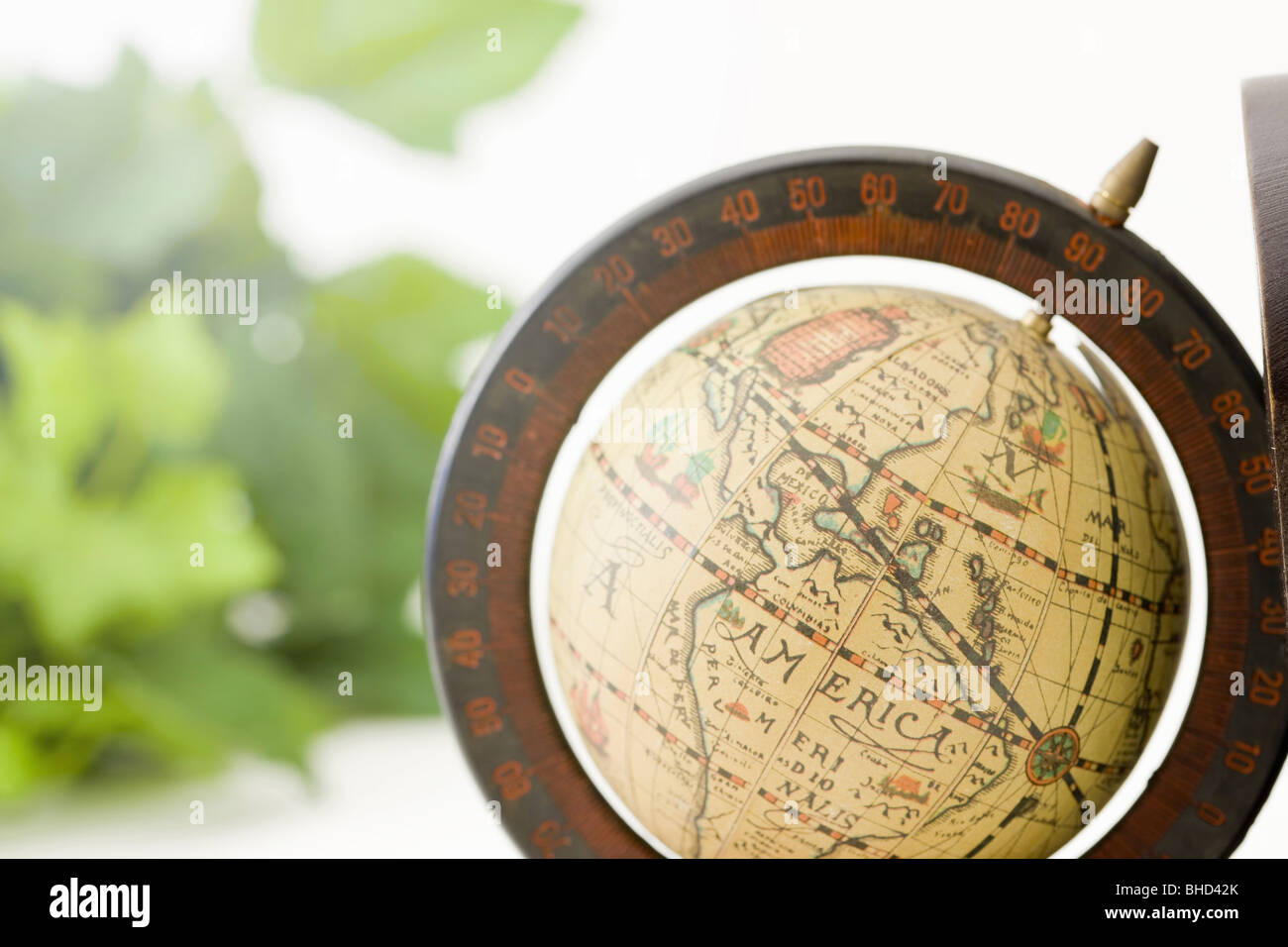 Globus antik mit Anlage im Hintergrund Stockfoto