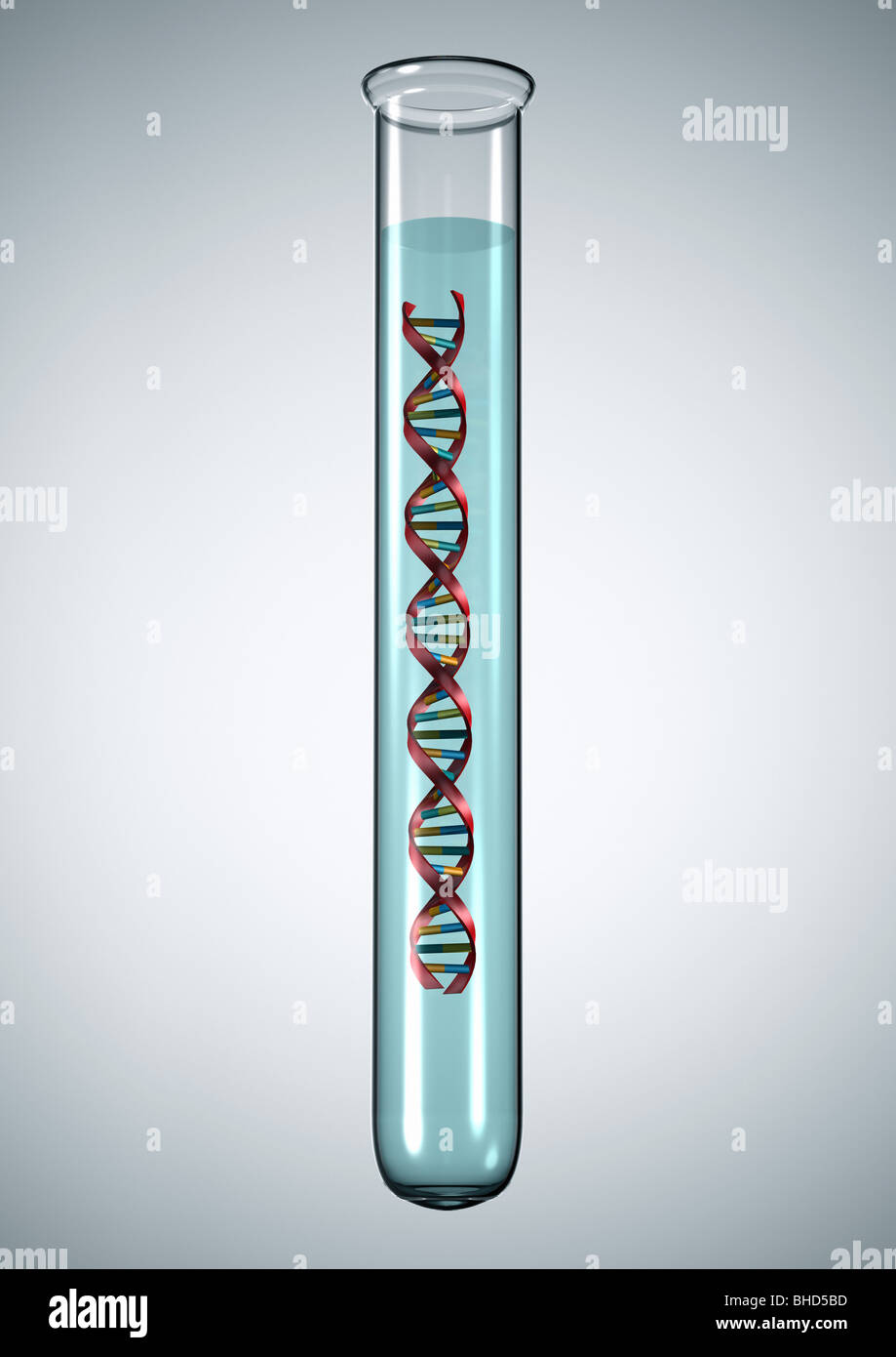 DNA-HELIX - Alpha Doppelhelix DNS Stockfoto
