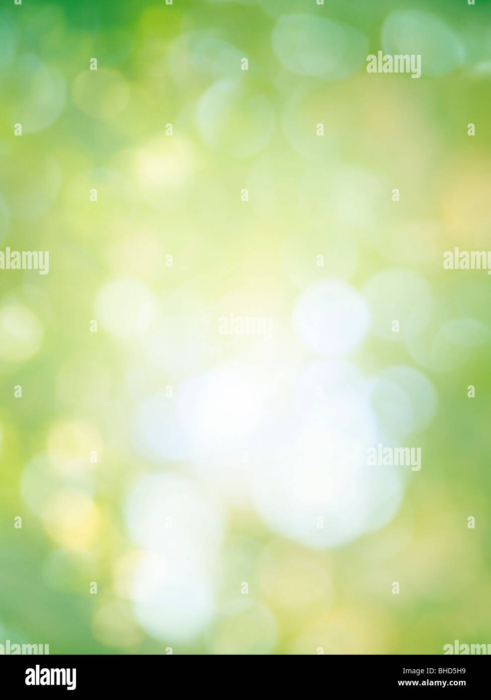 Defokussierten Weihnachtsbeleuchtung auf grünem Hintergrund Stockfoto
