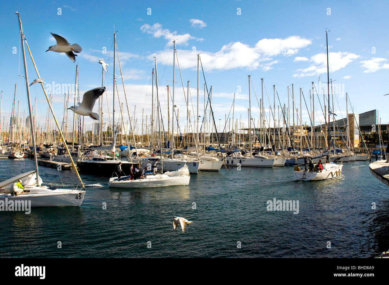 Boote im Hafen Vell, Barcelona, Spanien Stockfoto