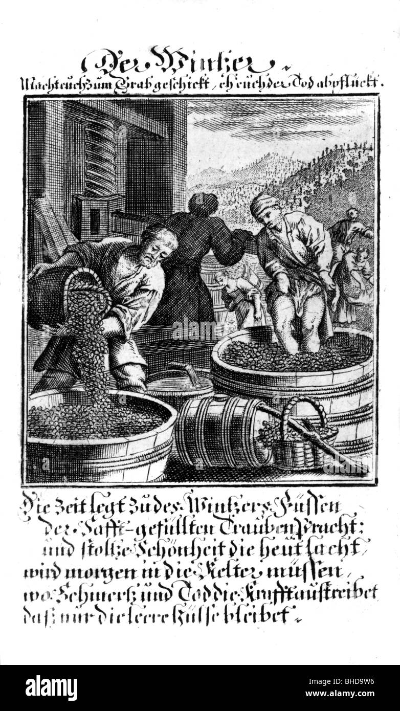 Landwirtschaft / Landwirtschaft, Wein, Winzer, Kupferstich aus einem Buch von Christoph Weigel, 1698, Stockfoto