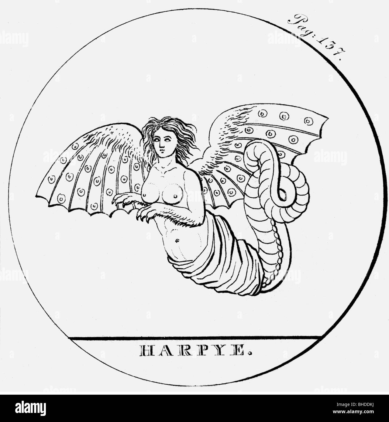 Harpies, griechische Fabelwesen (halbe Frau, halber Vogel), Gravur, 19. Jahrhundert, Stockfoto