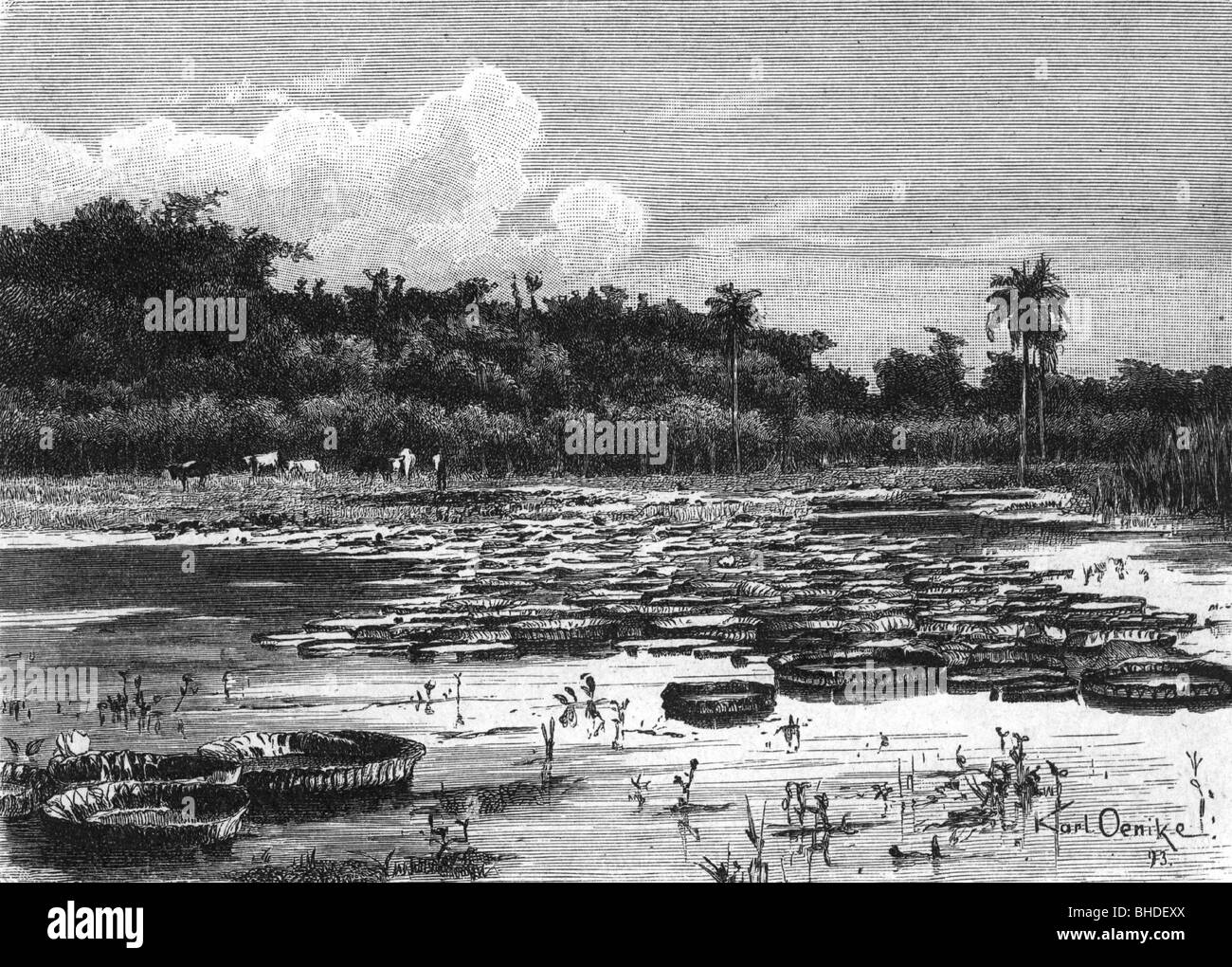 Geographie/Reise, Brasilien, Amazonas-Fluss, Flussengen in der Nähe von Ambiaque Island, Holzgravur, 19. Jahrhundert, historisch, historisch, Flüsse, Südamerika, Landschaft, Landschaften, Menschen, Stockfoto