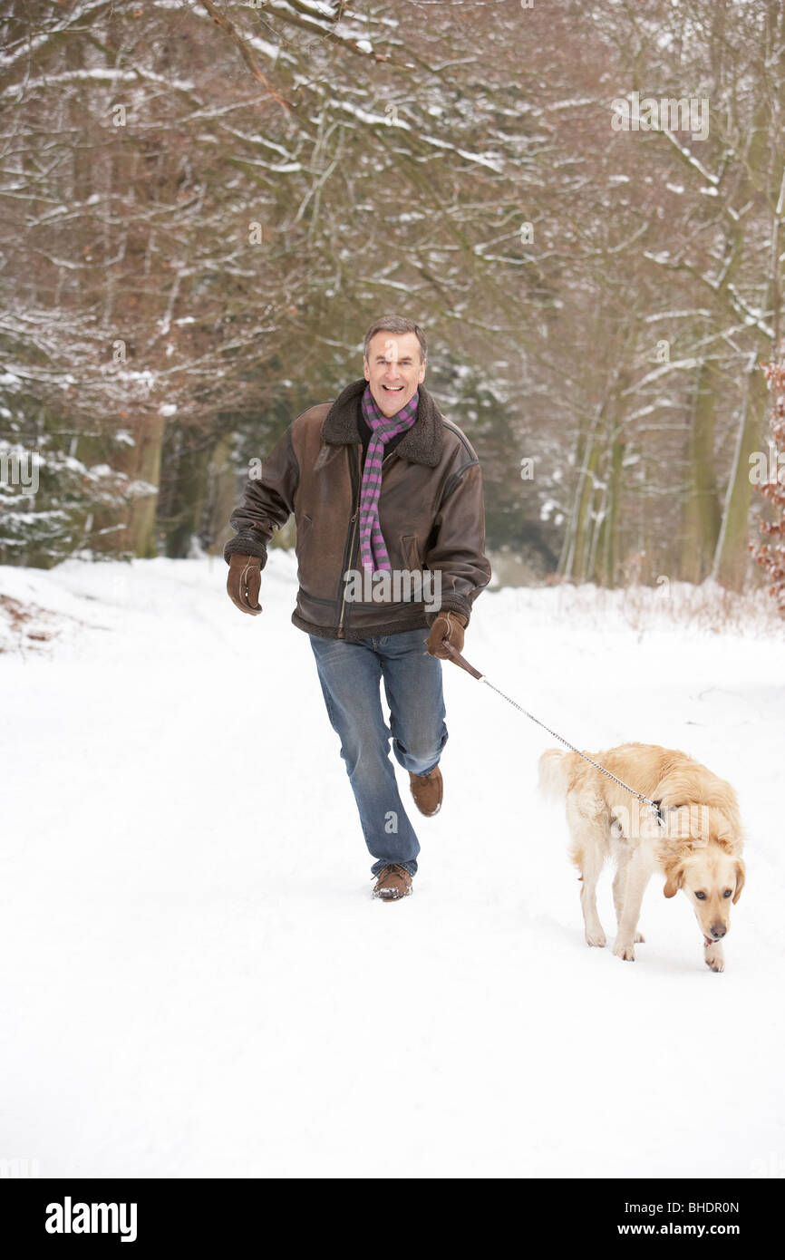 Senior woman Walking Hund durch den verschneiten Wald Stockfoto