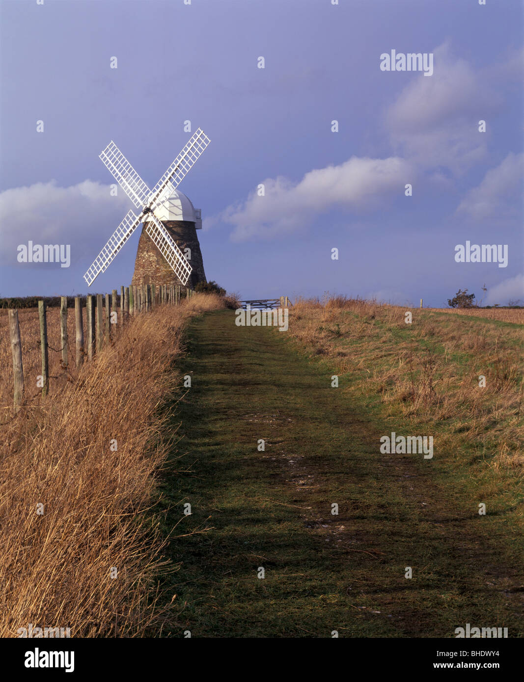 Halnaker Windmühle auf der South Downs über Chichester im winter Stockfoto