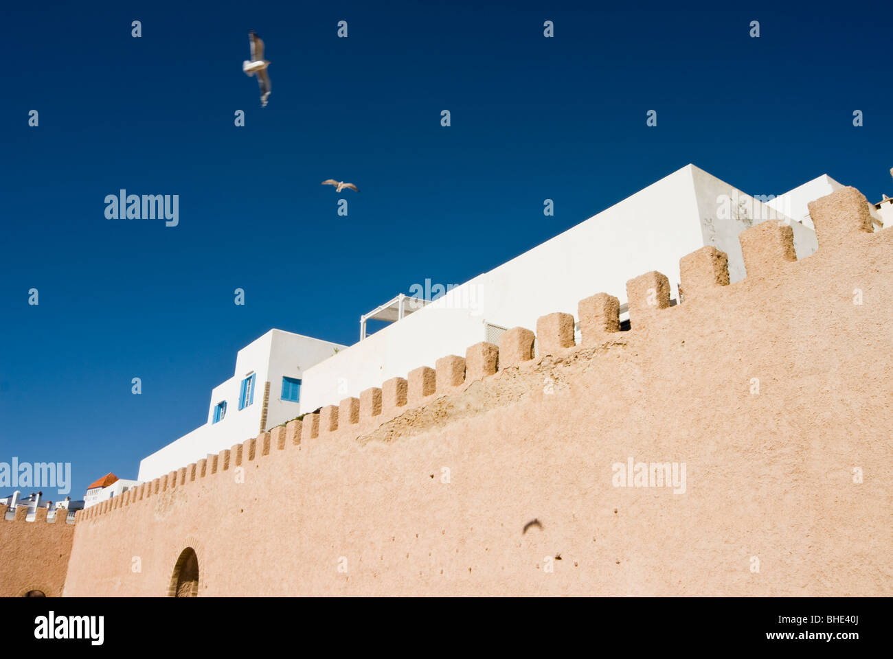 Blick auf die Stadtmauer der Altstadt, Essaouira, Marokko, Nordafrika, Afrika Stockfoto