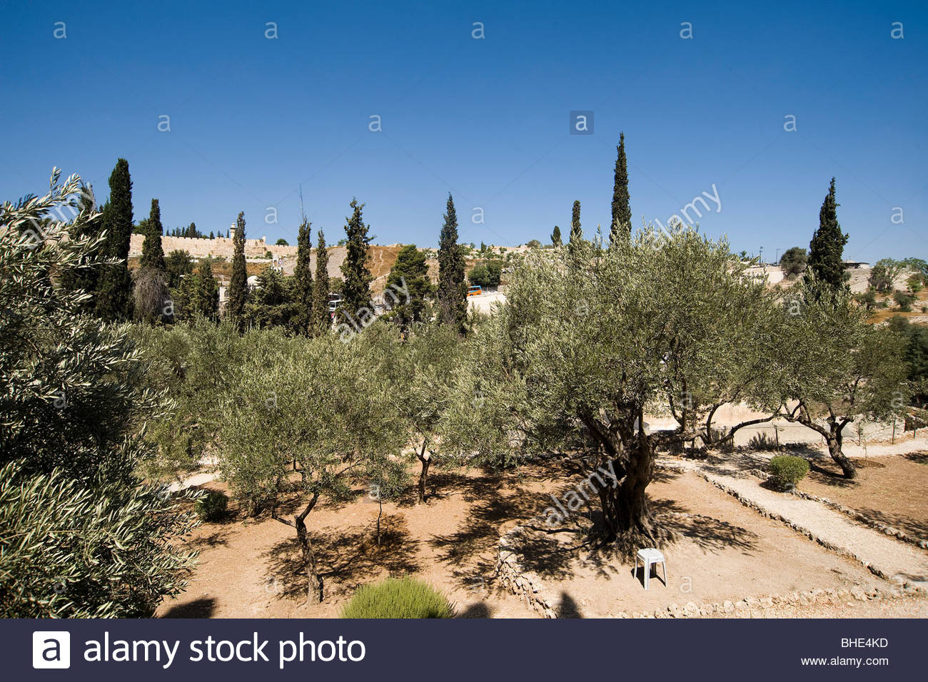 Garten Von Gethsemane Stockfotos und bilder Kaufen Alamy