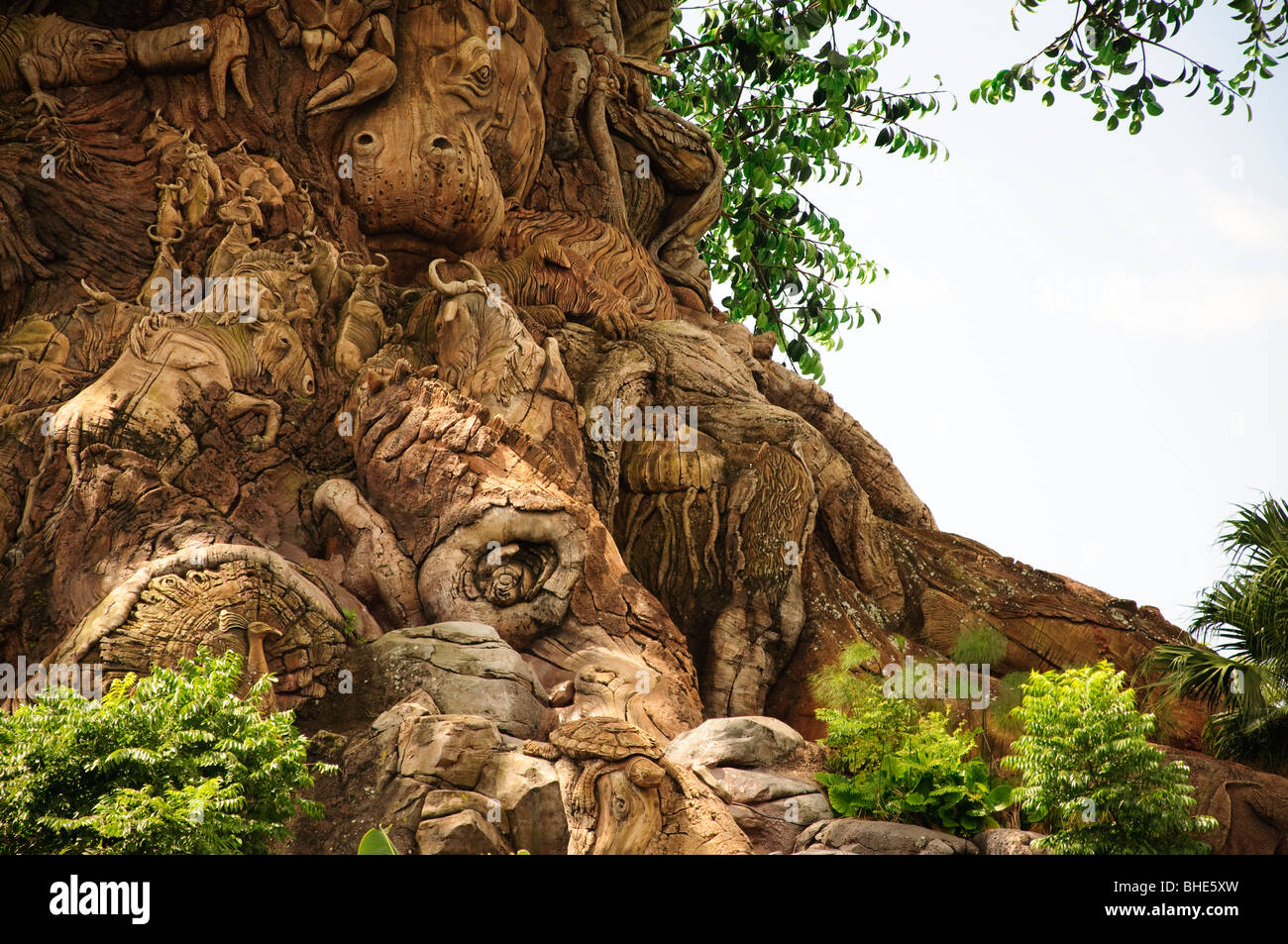 Baum des Lebens Walt Disney World Florida FL Orlando das Symbol des Tierreichs Stockfoto