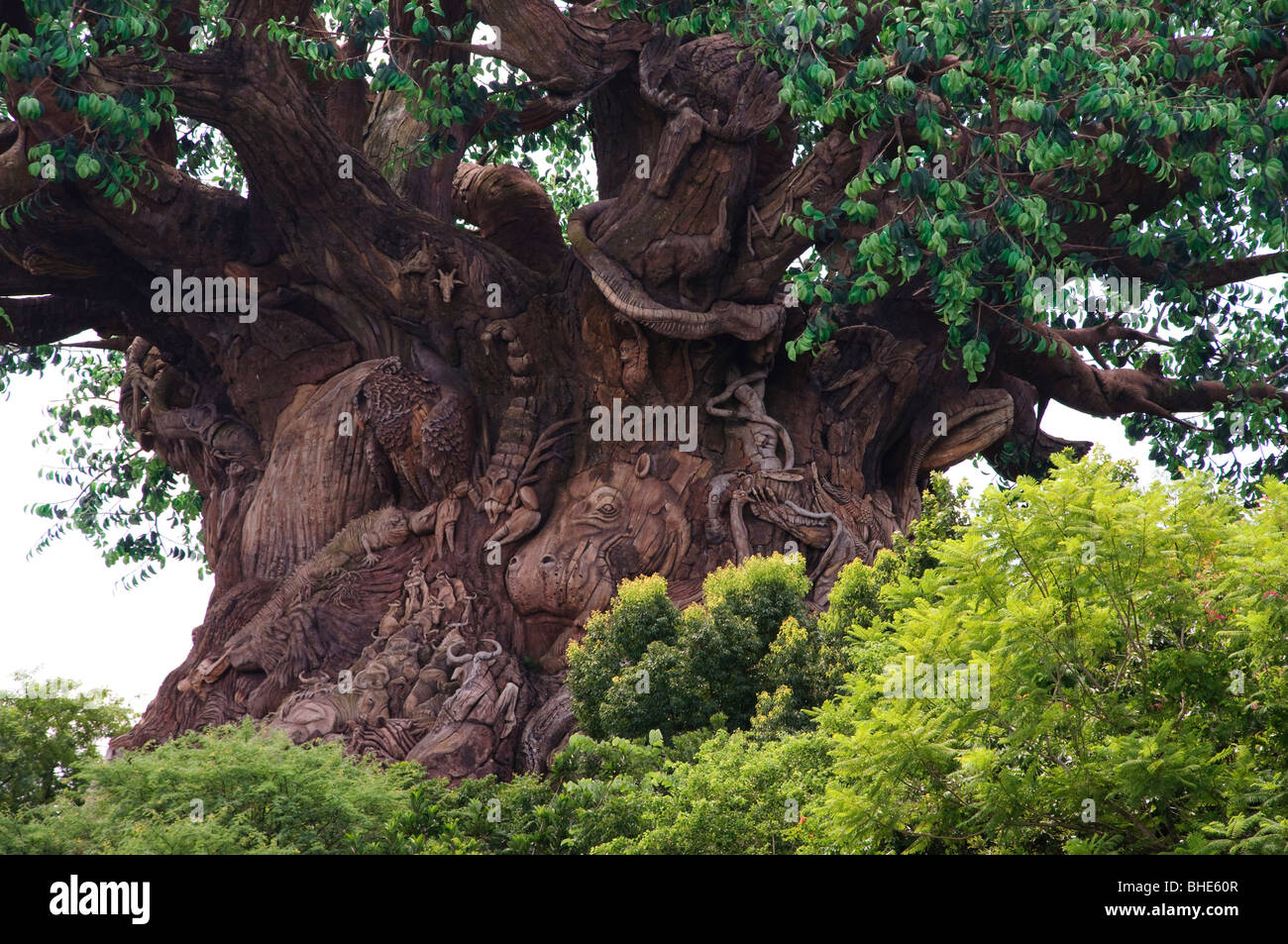 Baum des Lebens Walt Disney World Florida FL Orlando das Symbol des Tierreichs Stockfoto
