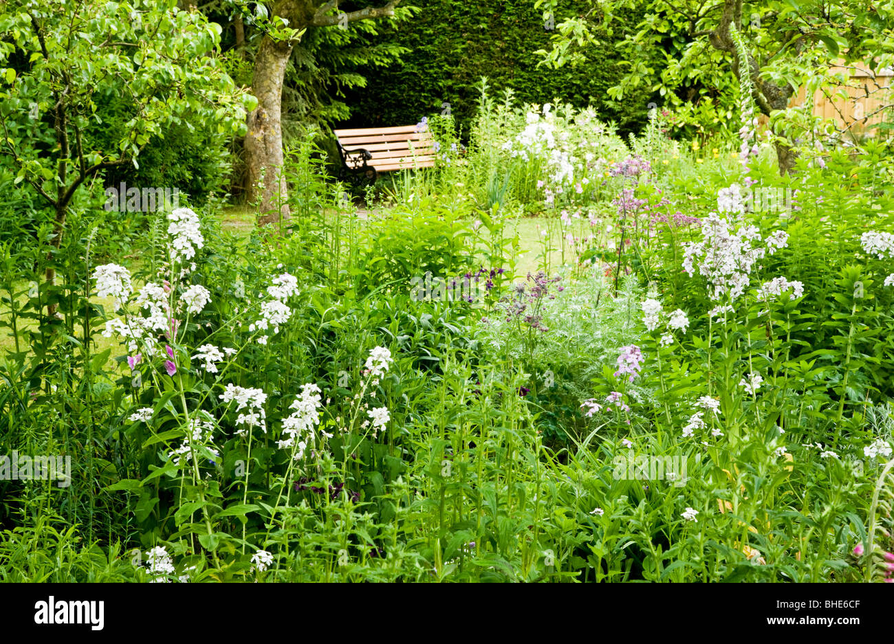 Eine typische englische Land oder Stadt, Vorstadt Garten Ende Mai Stockfoto