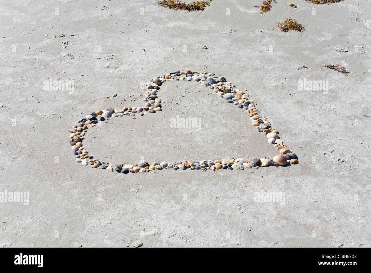 Bunte Muscheln in Herzform am Sandstrand des Jetty Park in Cape Canaveral, Florida Stockfoto