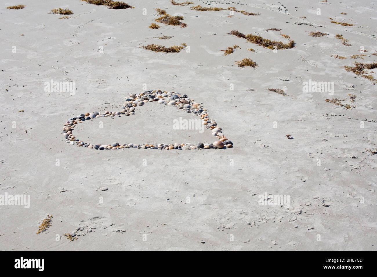 Bunte Muscheln in Herzform am Sandstrand des Jetty Park in Cape Canaveral, Florida Stockfoto
