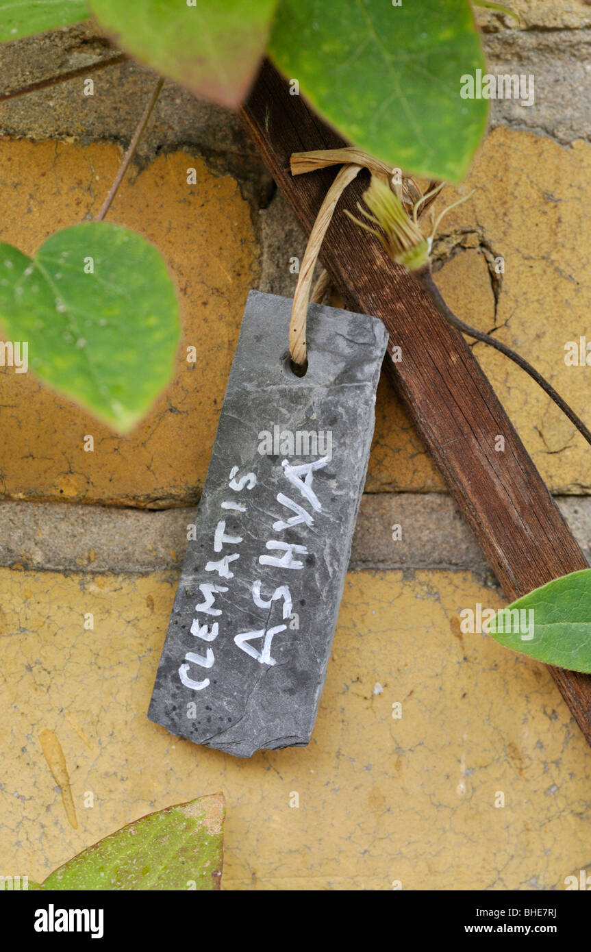 Schiefer Anlage label. Design: Jutta wahren Stockfoto
