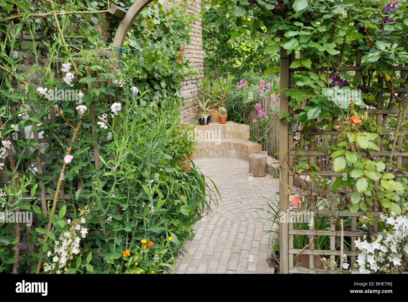 Staudenbeet mit Gitter in einem Garten im Hinterhof. Design: Jutta wahren Stockfoto
