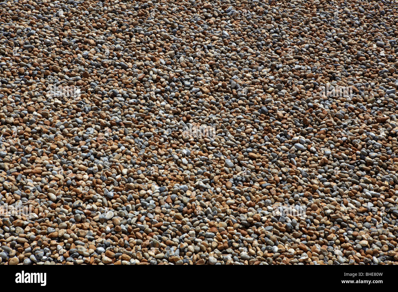 Kieselsteine am Strand von Dover, UK Stockfoto