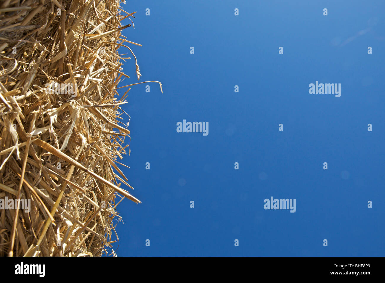 Close-up am Rand des Stroh Rundballen gegen starken blauen Himmel Stockfoto