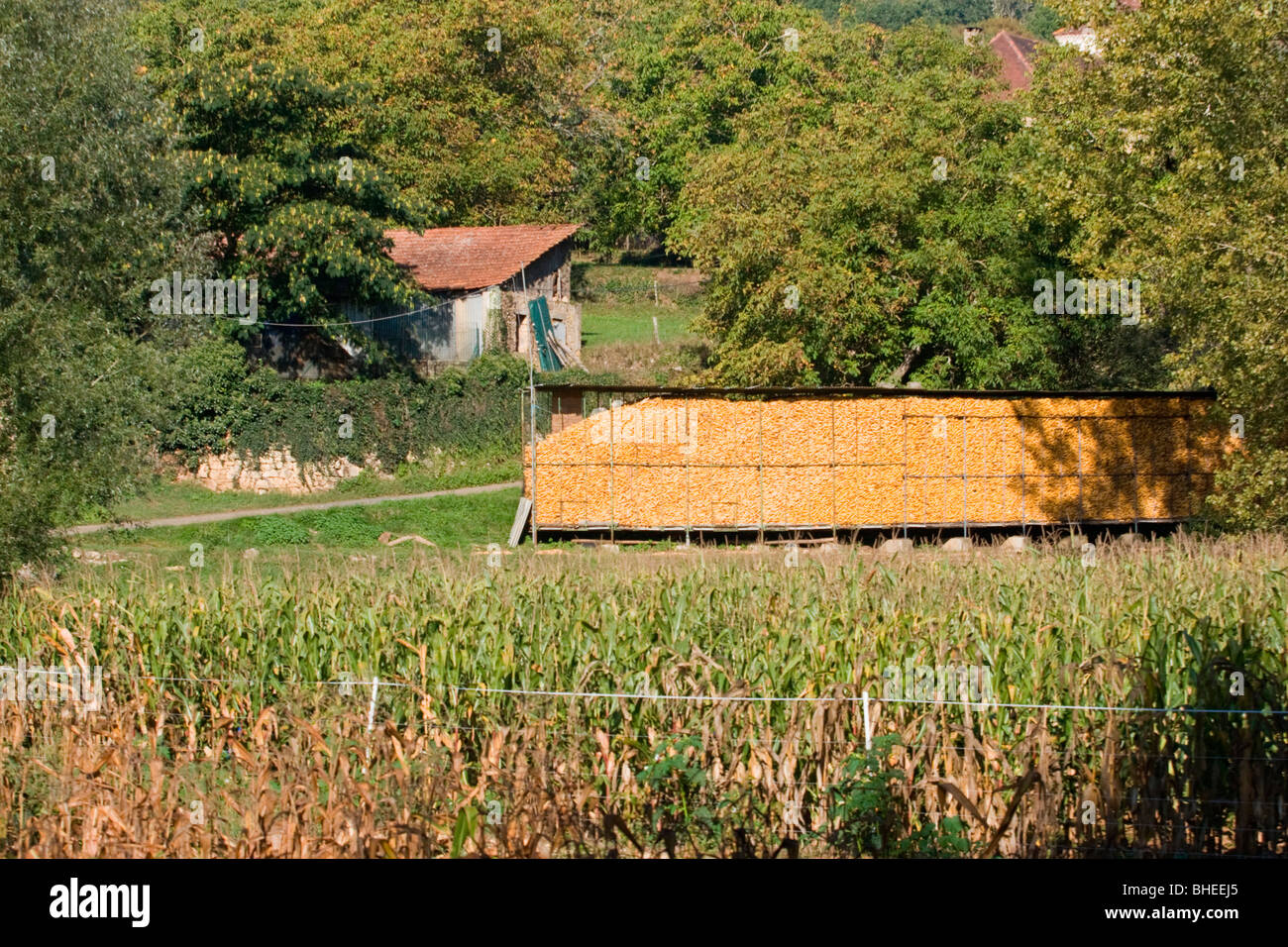 Ein Corncrib steht auf einem französischen Bauernhof im Tal des Flusses Dordogne, Perigord, Aquitanien, Südwest-Frankreich, Europa. Stockfoto