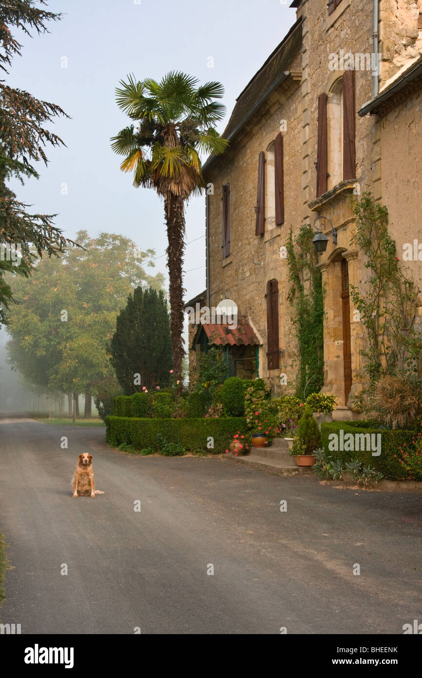 Der Hund die Familie hütet ein schönes Land Herrenhaus in der Nähe von Beynac in Süd-West, Frankreich, Europa. Stockfoto