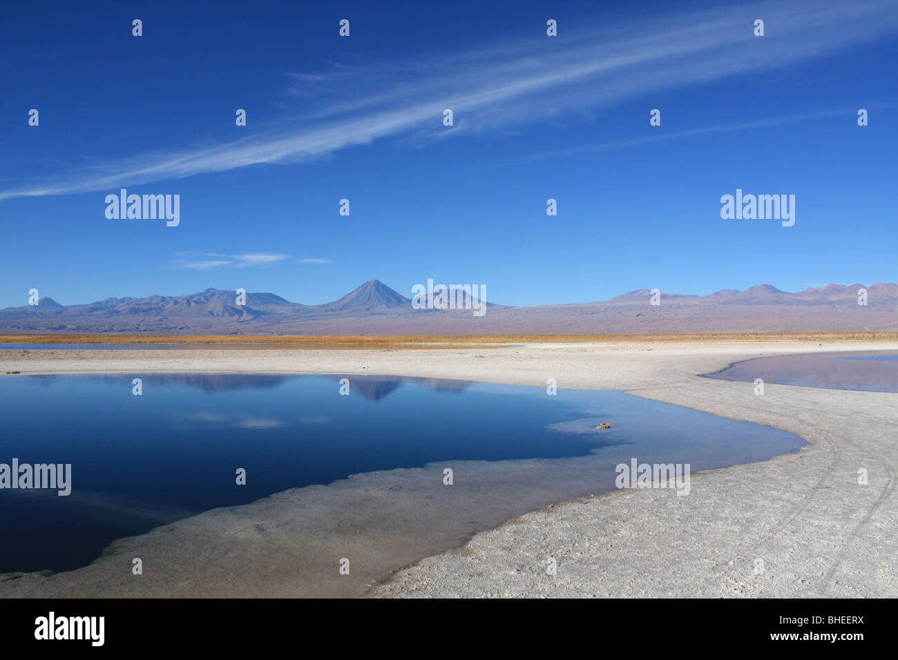 Laguna Cejar, Atacama-Wüste Stockfoto