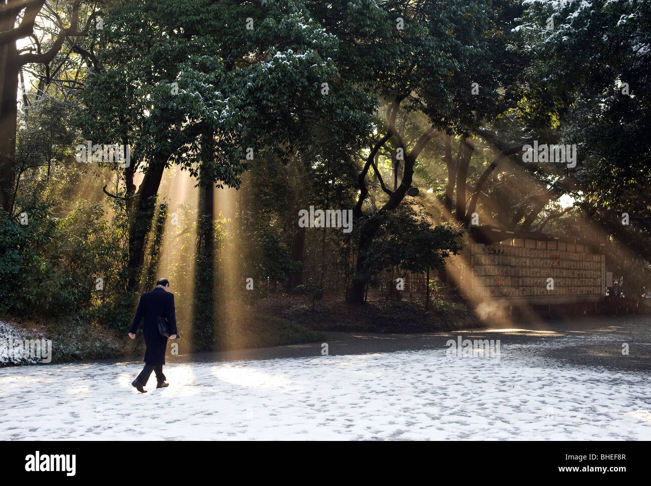 Besucher gehen durch das Gelände des Meiji-Jingu Schrein nach der diesjährigen ersten Schneefall in Tokio am 2. Februar 2010. Stockfoto