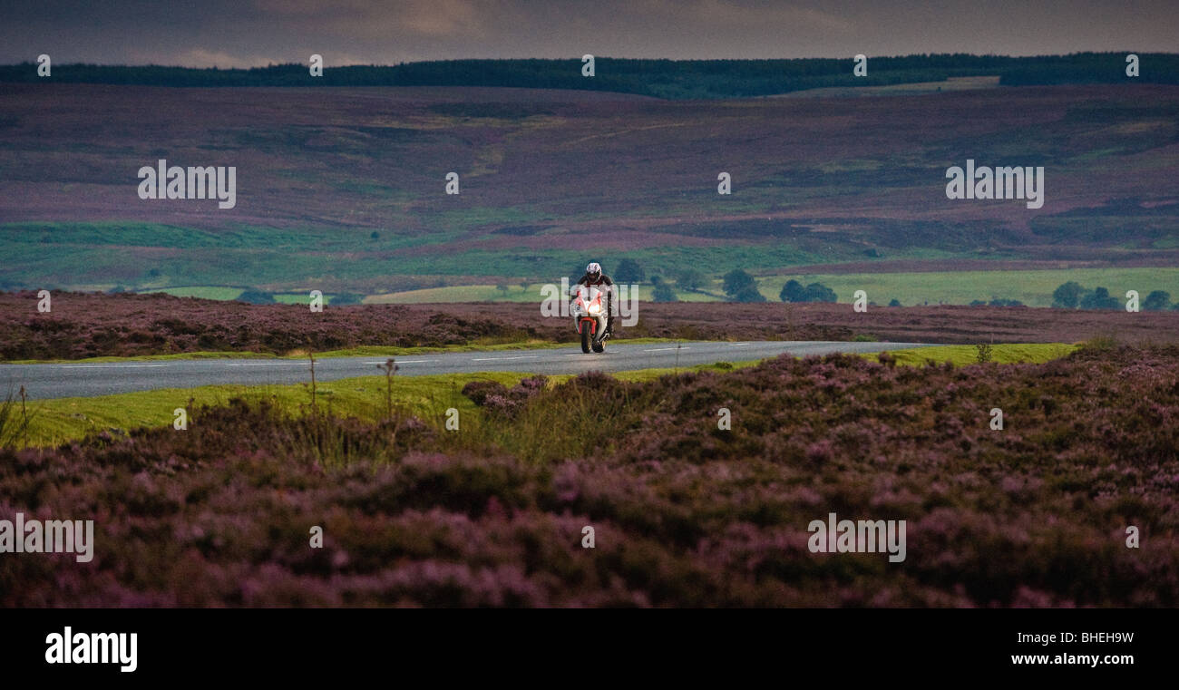 Einsamer Motorradfahrer, der an der mit Heidekraut bedeckten Moorlandschaft des North Yorkshire Moors National Park vorbeifährt. VEREINIGTES KÖNIGREICH Stockfoto