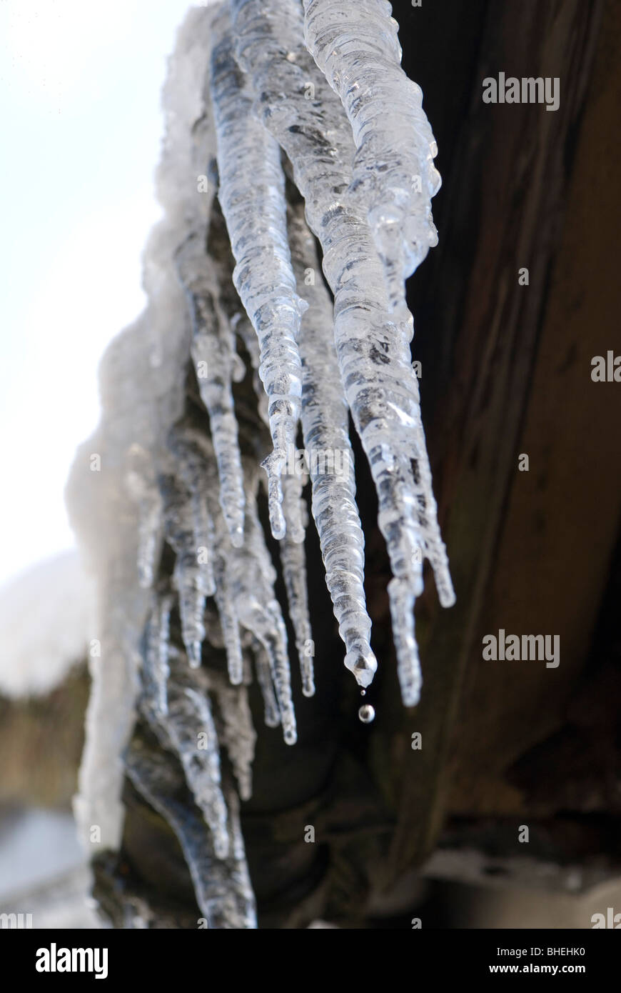 Eiszapfen Stockfoto