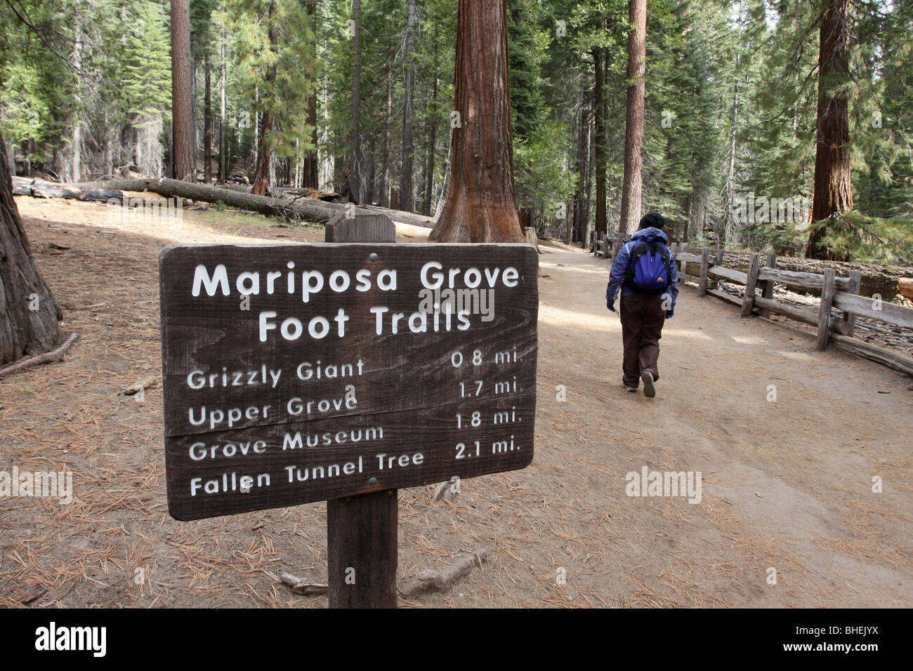 Trail Zeichen Wanderer Mariposa Grove Yosemite-Nationalpark Stockfoto