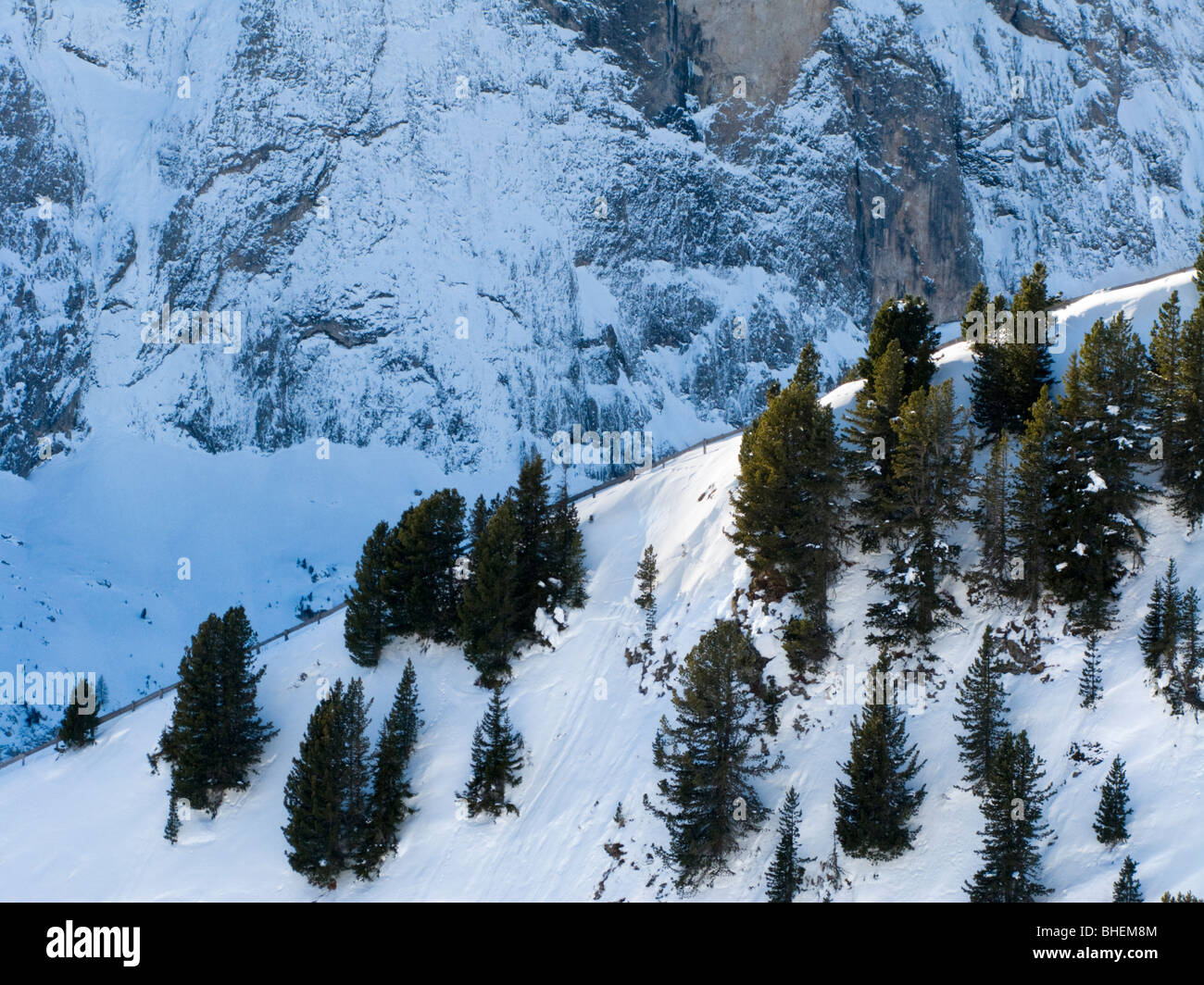 Bäume auf der Bergseite. Dolomiten in der Nähe von Selva di Val Gardena, Italien. Stockfoto